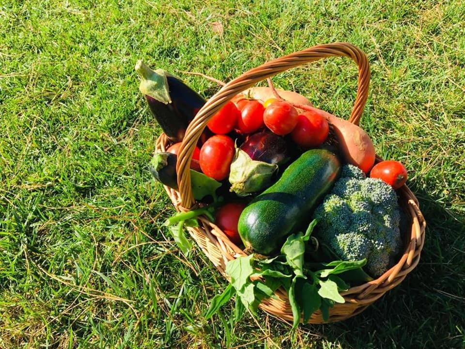 Furnaka Eco Village Lourinhã Esterno foto